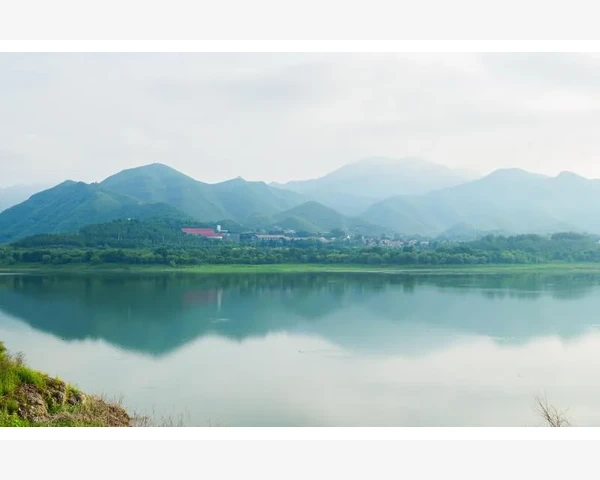 黄体酮不足：调理方法与中医科普
