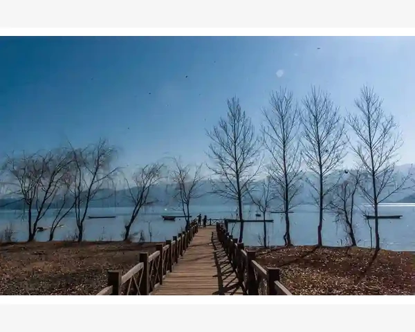 夏季中医养生必须知道，调理脾胃不可忽视